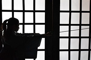 samurai experience