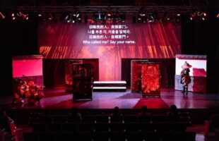 Ninja show Osaka